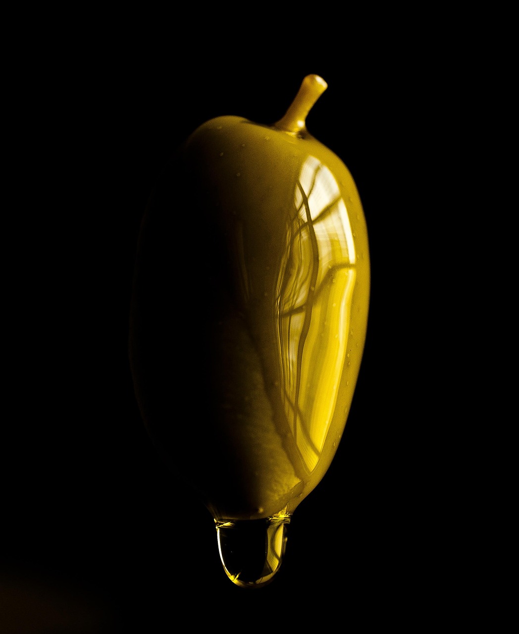 olive, oil, food, gastronomy, green, olive, olive, olive, olive, olive